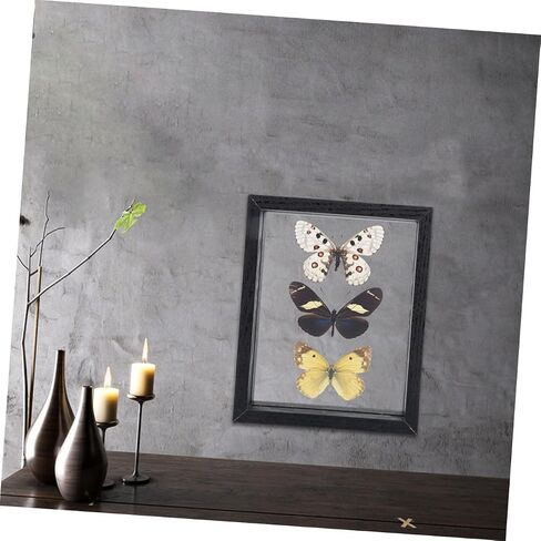 Cabilock DIY Double Sided Glass Specimen Display Frame Black Dried Flower Holder Photo Frame for Plants and Butterflies Home Office Decor in Saudi Arabia