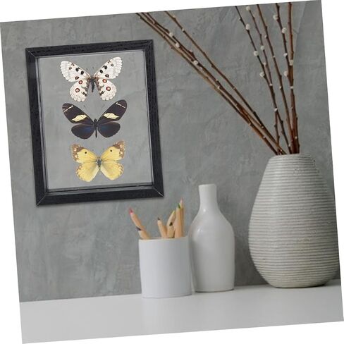 Cabilock DIY Double Sided Glass Specimen Display Frame Black Dried Flower Holder Photo Frame for Plants and Butterflies Home Office Decor in Saudi Arabia