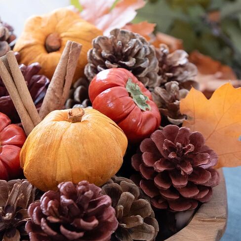 pinecones Andaluca Natural ، أوراق القرع المصنوعة من خشب البلوط السقوط ديكور حشو Potpourri (الخريف) in Kuwait