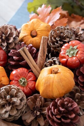 pinecones Andaluca Natural ، أوراق القرع المصنوعة من خشب البلوط السقوط ديكور حشو Potpourri (الخريف) in Kuwait