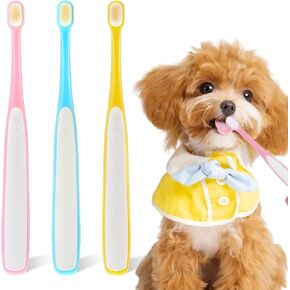 3 Pack Small Dog Toothbrush, Small Breed Cat Toothbrushes for Cat & Puppy, Utral Soft Bristles Deep Cleaning Mini Head Tooth Brush for Tiny Puppy Kitty in Kuwait