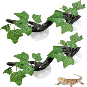 Pinvnby 2 PCS زواحف الزواحف فرع تيراريوم زخرفة زخرفة الزواحف مع كوب الشفط لزخرفة تسلق الأفعى السحلية البرمائية in Kuwait