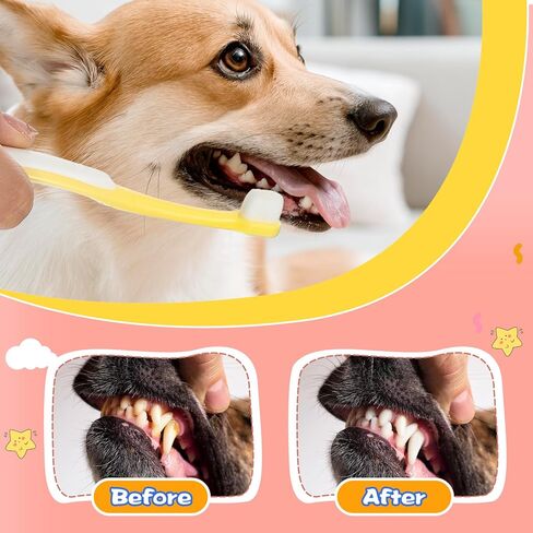 3 Pack Small Dog Toothbrush, Small Breed Cat Toothbrushes for Cat & Puppy, Utral Soft Bristles Deep Cleaning Mini Head Tooth Brush for Tiny Puppy Kitty in Kuwait