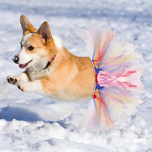 2 PCS Dog Tulle Tutus – Hot Pink & Rainbow Ballerina Skirt Dresses for Small Medium Large Dogs & Cats | Birthday Wedding Party, Halloween, Pride Photo Prop Outfits in Saudi Arabia