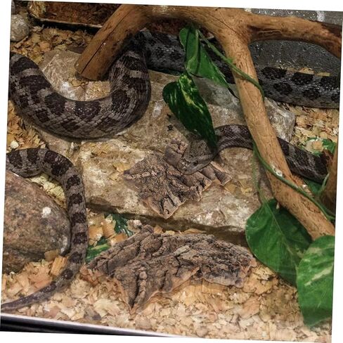 4pcs cork bark reptile decor natural tree bark clight reptiles terrariums background cork wood habitat tank decoration for snake basking lizard rip in Kuwait