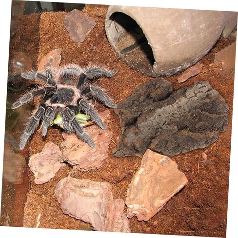 4pcs cork bark reptile decor natural tree bark clight reptiles terrariums background cork wood habitat tank decoration for snake basking lizard rip in Kuwait