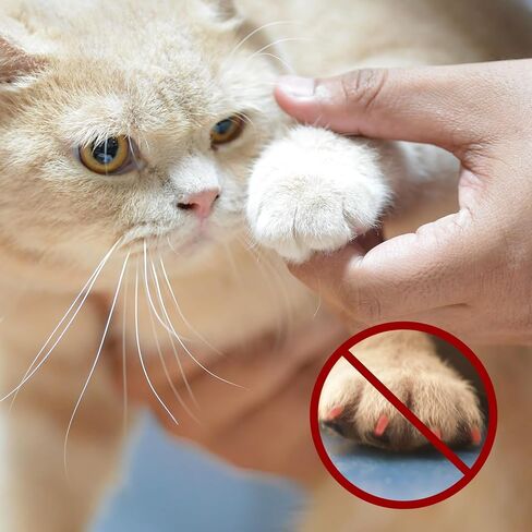 Nail Grinder for Dogs Replacement Kit, 42 Pack Pet Nail Grinder with Sanding Drum Bands Pet Smoother Claw Care Dog Nails Trimmer Tools (1/2 Inch, 80#/120#) in Saudi Arabia