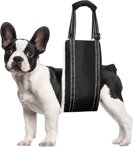 Feimax Portable Dog Sling for Back Legs تسخير قابل للتعديل للكلاب دعم الساق الخلفية دعم الرفع الناعم وتسخير إعادة التأهيل للأرجل الخلفية الضعيفة المعاقين وبعد الجراحة الكلاب صغيرة إلى كبيرة in Kuwait