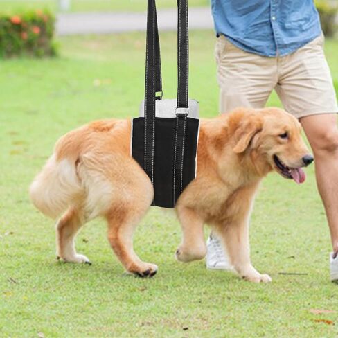 Feimax Portable Dog Sling for Back Legs تسخير قابل للتعديل للكلاب دعم الساق الخلفية دعم الرفع الناعم وتسخير إعادة التأهيل للأرجل الخلفية الضعيفة المعاقين وبعد الجراحة الكلاب صغيرة إلى كبيرة in Kuwait