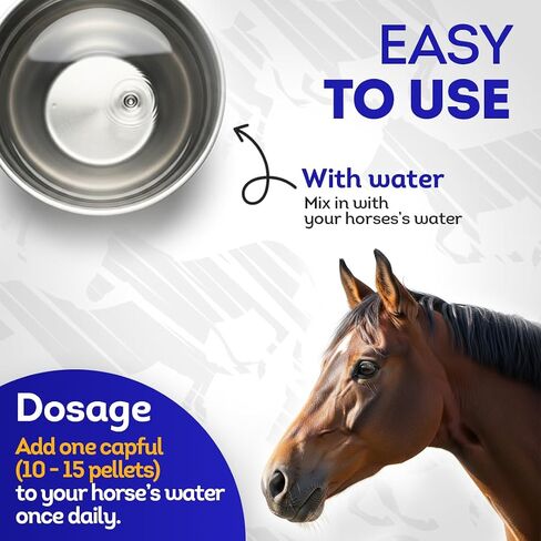 Healthy Animals 4Ever All-Natural Horse Respiratory Issues Support - Helps Prevent Heaves, Allergies & Infections - Supplements for Horses - Homeopathic & Highly Effective - 300 Tablets in Saudi Arabia