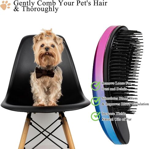 Small Dog Brush, Soft Pet Grooming Brush for Shih Tzus, Yorkies, Maltipoos, Maltese, Puppy Massaging Hair Brush, Cat Brush, for Small Animals Rabbits of All Hair Types (Gradient Color) in Kuwait