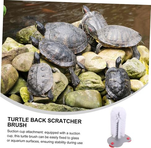 Toyvian Turtle Shell Cleaning Brush Suction Cup Reusable Turtle Tank Scrubber Pet Care Tool in Saudi Arabia