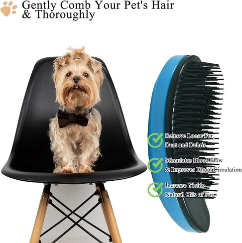 Small Dog Brush, Soft Pet Grooming Brush for Shih Tzus, Yorkies, Maltipoos, Maltese, Puppy Massaging Hair Brush, Cat Brush, for Small Animals Rabbits of All Hair Types (Gradient Color) in Kuwait
