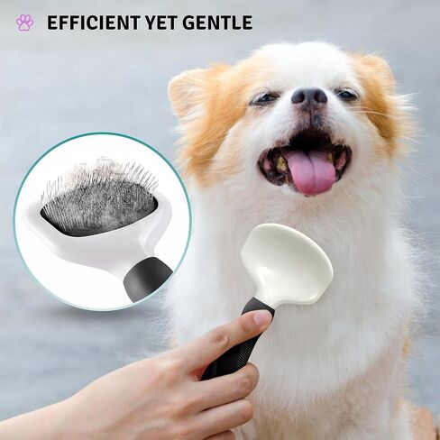 Poodle Pet Detangling Pet Comb + Black Slicker Brush Bundle in Kuwait