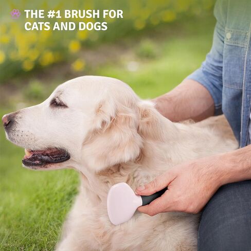 Poodle Pet Detangling Pet Comb + Black Slicker Brush Bundle in Kuwait