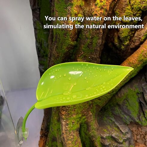 BNOSDM Crested Gecko Tank Accessories 3 Pcs Plastic Leaf Decorations with Suction Cup Gecko Climbing Toy Frog Habitat Platform Reptile Terrarium Decoration for Tree Frog Resting Spot in Saudi Arabia
