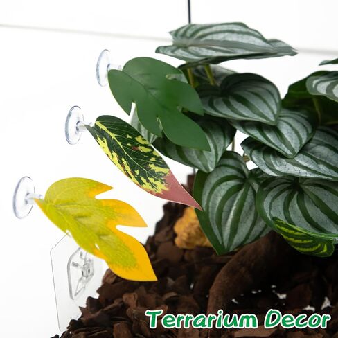 BNOSDM Crested Gecko Tank Accessories 3 Pcs Plastic Leaf Decorations with Suction Cup Gecko Climbing Toy Frog Habitat Platform Reptile Terrarium Decoration for Tree Frog Resting Spot in Saudi Arabia