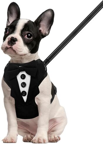 BINGFPET Dog Tuxedo Harness,Adjustable Reflective Dog Vest Harness and Leash Set Soft Mesh Padded,Formal Pet Wedding Outfit with Bow Tie Party Costume for Puppy Small Medium Dogs(Navy Blue,XS) in Saudi Arabia