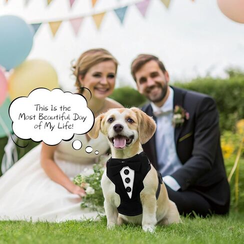 BINGFPET Dog Tuxedo Harness,Adjustable Reflective Dog Vest Harness and Leash Set Soft Mesh Padded,Formal Pet Wedding Outfit with Bow Tie Party Costume for Puppy Small Medium Dogs(Navy Blue,XS) in Saudi Arabia