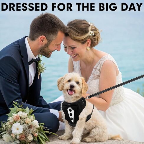 BINGFPET Dog Tuxedo Harness,Adjustable Reflective Dog Vest Harness and Leash Set Soft Mesh Padded,Formal Pet Wedding Outfit with Bow Tie Party Costume for Puppy Small Medium Dogs(Navy Blue,XS) in Saudi Arabia
