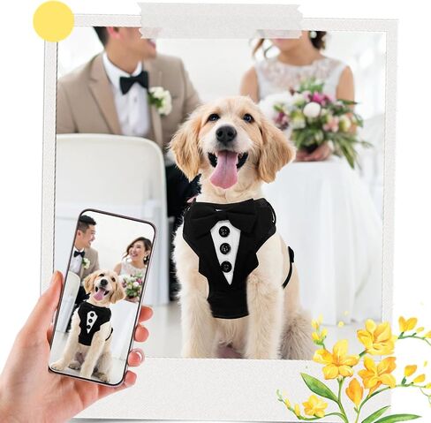 BINGFPET Dog Tuxedo Harness,Adjustable Reflective Dog Vest Harness and Leash Set Soft Mesh Padded,Formal Pet Wedding Outfit with Bow Tie Party Costume for Puppy Small Medium Dogs(Navy Blue,XS) in Saudi Arabia
