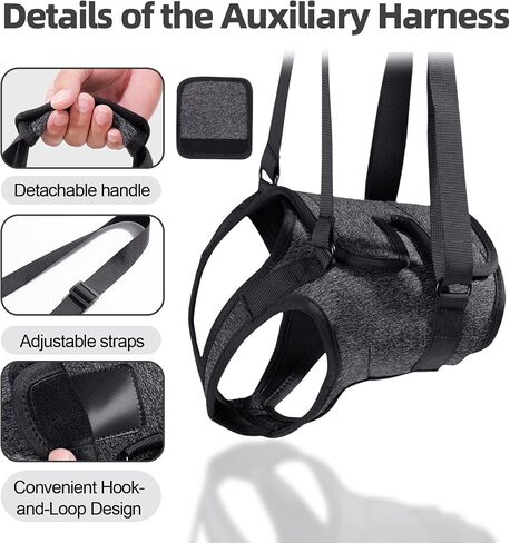 Dog Sling for Large Dogs Hind Leg Support, Adjustable Soft Padded Harness for Weak, Injured, or Disabled Back Legs, Helps Support Senior, Arthritic, and Mobility-Impaired Dogs (Large) in Saudi Arabia