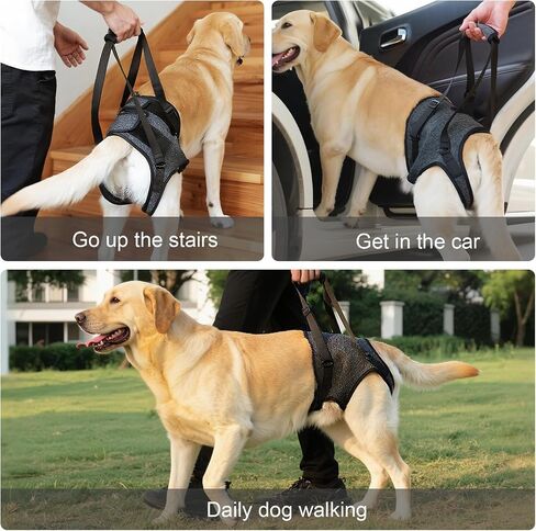 Dog Sling for Large Dogs Hind Leg Support, Adjustable Soft Padded Harness for Weak, Injured, or Disabled Back Legs, Helps Support Senior, Arthritic, and Mobility-Impaired Dogs (Large) in Saudi Arabia