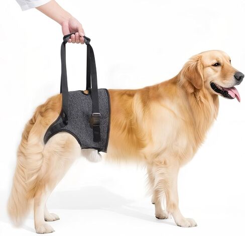 Dog Sling for Large Dogs Hind Leg Support, Adjustable Soft Padded Harness for Weak, Injured, or Disabled Back Legs, Helps Support Senior, Arthritic, and Mobility-Impaired Dogs (Large) in Saudi Arabia