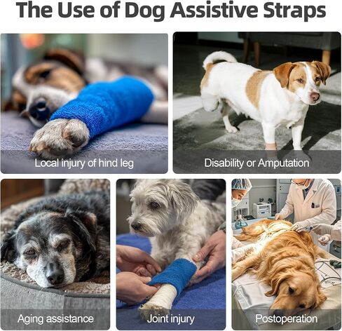 Dog Sling for Large Dogs Hind Leg Support, Adjustable Soft Padded Harness for Weak, Injured, or Disabled Back Legs, Helps Support Senior, Arthritic, and Mobility-Impaired Dogs (Large) in Saudi Arabia