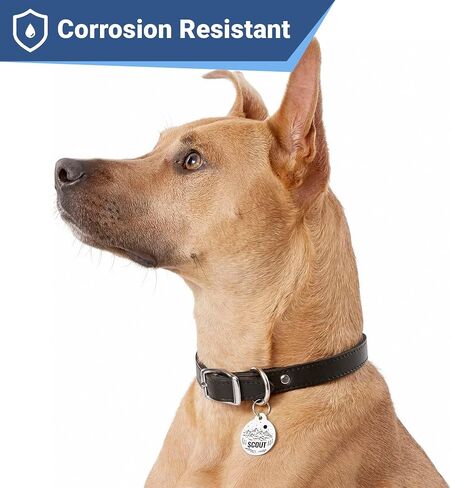 GoTags Stainless Steel Designer Pet ID Tags, Personalized Dog Tags and Cat Tags, up to 5 Lines of Custom Text, Mountain and Flower Design in Silver, Gold, Black, Blue and More (Round, Small) in Saudi Arabia