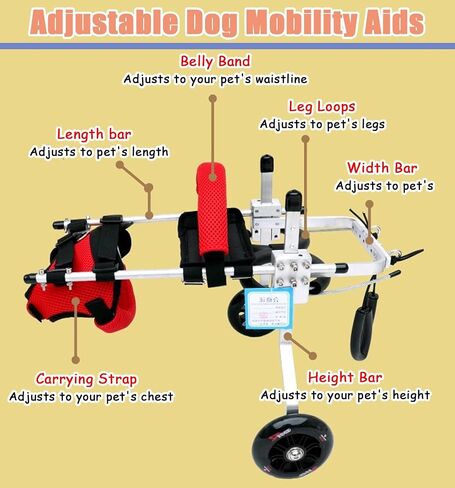 Dog Wheelchair Adjustable Cat for Indoor Cats, Pet Stroller Cart Paralyzed Back Legs, Lightweight Small Kitten Mobility Aids, Exercise Brace in Saudi Arabia