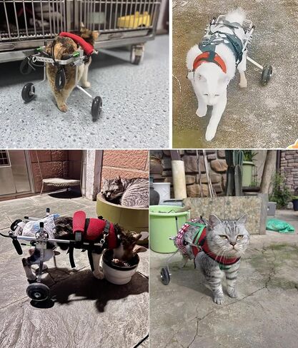 Dog Wheelchair Adjustable Cat for Indoor Cats, Pet Stroller Cart Paralyzed Back Legs, Lightweight Small Kitten Mobility Aids, Exercise Brace in Saudi Arabia