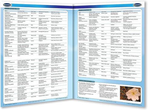 Herbal Medicine Quick Reference Guide - Holistic Health and Wellness by Permachart in Saudi Arabia
