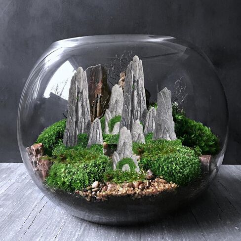 Nolitoy 8pcs Mini Rockery for Bonsai: Zen Garden Association Mountain Landscape التماثيل لعرض المكتب المنزلي in Kuwait