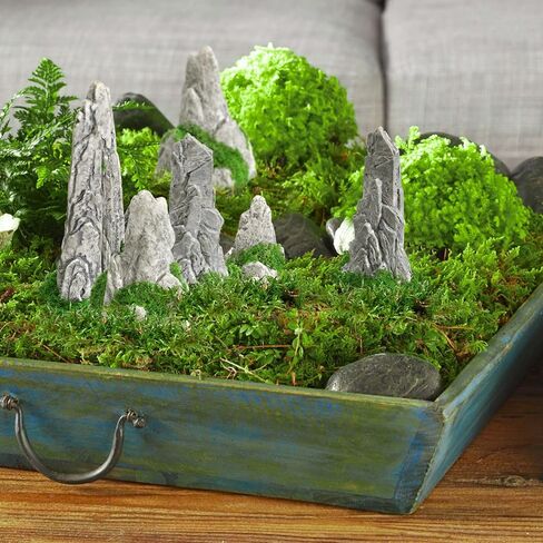 Nolitoy 8pcs Mini Rockery for Bonsai: Zen Garden Association Mountain Landscape التماثيل لعرض المكتب المنزلي in Kuwait