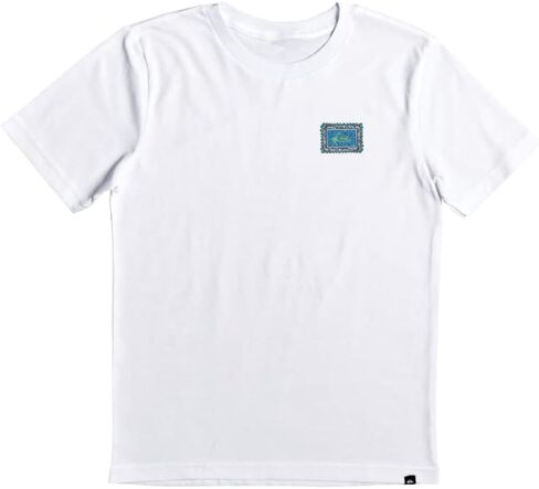 Quiksilver Boys (8-16) Classic Regular Fit Tees in Saudi Arabia