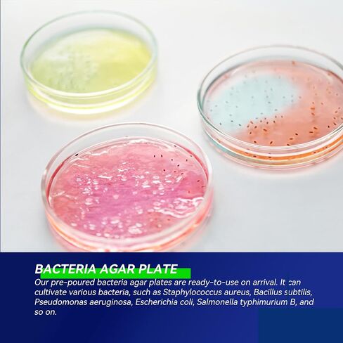 مجموعة مشروع أطباق الأطباق المغذية Agar Petri ، 10 لوحات أجار مسبقة قبل ومسحات القطن لتجارب العلوم ، مجموعة علوم البكتيريا - مختومة بشكل منفصل (توصيل الأمازون) in Saudi Arabia