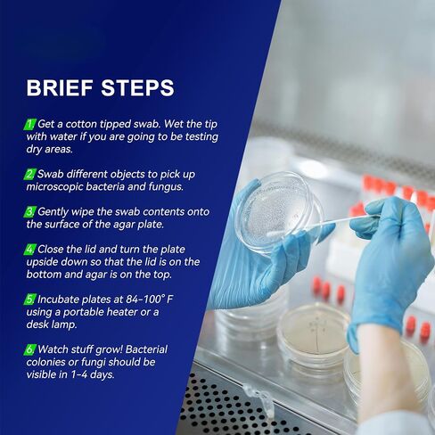 مجموعة مشروع أطباق الأطباق المغذية Agar Petri ، 10 لوحات أجار مسبقة قبل ومسحات القطن لتجارب العلوم ، مجموعة علوم البكتيريا - مختومة بشكل منفصل (توصيل الأمازون) in Saudi Arabia