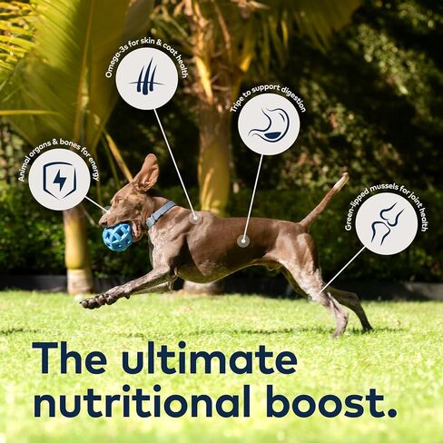 ZIWI Peak Canned Wet Dog Food – All Natural, High Protein, Grain Free, Limited Ingredient, with Superfoods (Lamb, Case of 12, 13.75oz Cans) in Saudi Arabia