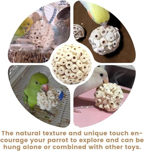 Bird Toys Sola Balls 2.36 '' - 6pcs ، لعبة علف الطيور ، لعبة Sola atta sole ، لعبة Parrot Pherred Toy لشحذ المخالب والمنقرق للكوكاتيل ، الببغاوات ، conure ، الطيور الحب ، الببتوغ والطيور الصغيرة in Kuwait