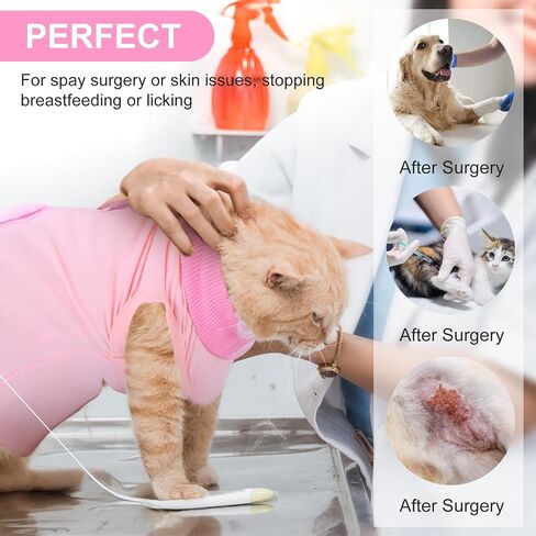 Cat Recovery Suit Spay Abdominal Wounds Skin Diseases Kitten Onesie Bodysuit Female Kitten Breathable Cone of Shame Alternative for Cats Anti Licking After Surgery Protection in Saudi Arabia