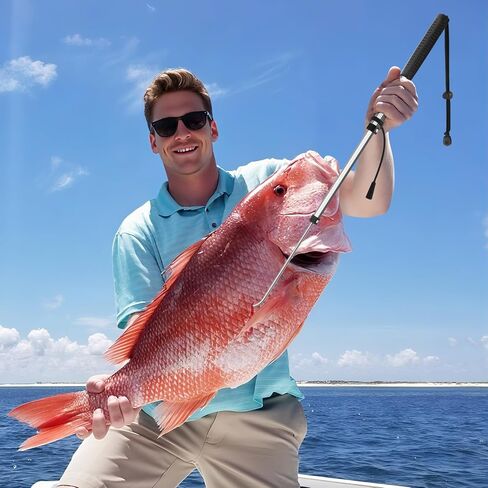 SAN LIKE Telescopic Fishing Gaff,Aluminum/Fiberglass Pole with Nonslip Handle,Stainless Steel Hook with M8 Screw, Fish Gaff can Float When Extending in Saudi Arabia