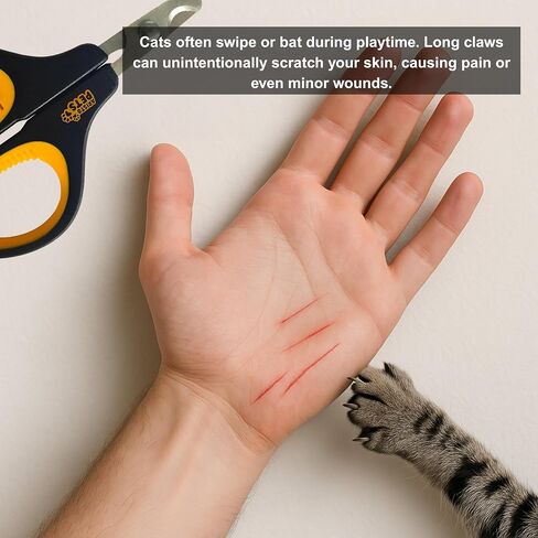 Cat Nail Clippers-تقليم مخلب الفولاذ المقاوم للصدأ المحترف للقطط والقطط والهامستر والأرانب والطيور والحيوانات الصغيرة-حادة وآمنة وسهلة الاستخدام للحيوانات الأليفة in Saudi Arabia