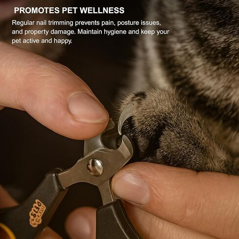 Cat Nail Clippers-تقليم مخلب الفولاذ المقاوم للصدأ المحترف للقطط والقطط والهامستر والأرانب والطيور والحيوانات الصغيرة-حادة وآمنة وسهلة الاستخدام للحيوانات الأليفة in Saudi Arabia