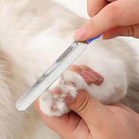 Cat Nail Clippers للمبتدئين ومرضعي العريس - متينة الحيوانات الأليفة - اللوازم مع حارس الأمان ، وتجنب الأداة الإفراط في التغلب على الحيوانات الصغيرة للحيوانات الصغيرة الكلب الداخلي Cat Bunny Rabbit Bird (Pink) in Saudi Arabia