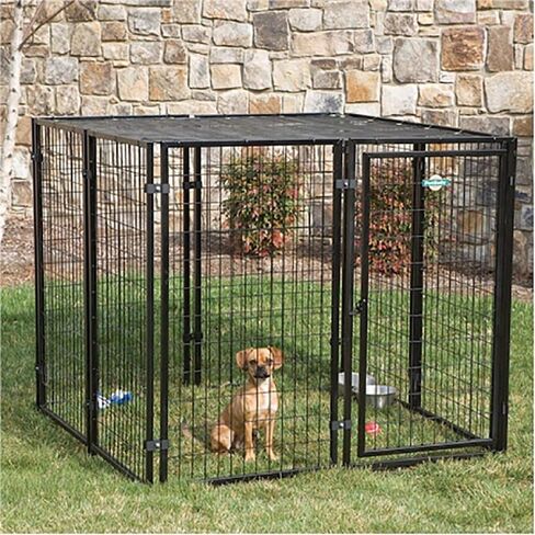 CottageView Dog Kennel - in Saudi Arabia