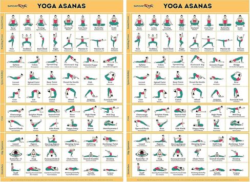 ملصق SPORTAXIS Yoga Poses - 64 وضعيات يوجا لتمرين الجسم بالكامل - ملصق مغلف للتمرين المنزلي مع رسوم توضيحية ملونة - أسماء باللغة الإنجليزية والسنسكريتية in Saudi Arabia