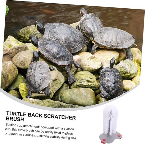 UPKOCH Turtle Brush Suction Cup Reusable Turtle Shell Cleaner Soft Bristles Maintenance and Cleaning in Saudi Arabia