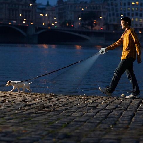 مقود الكلب القابل للسحب-مقود 16 قدمًا مع تفاصيل التألق المصنوعة يدويًا ، مقبض قبضة ناعمة خالية من الفرامل ، للكلاب الصغيرة والمتوسطة حتى 77 رطلاً (DL-BK) in Kuwait