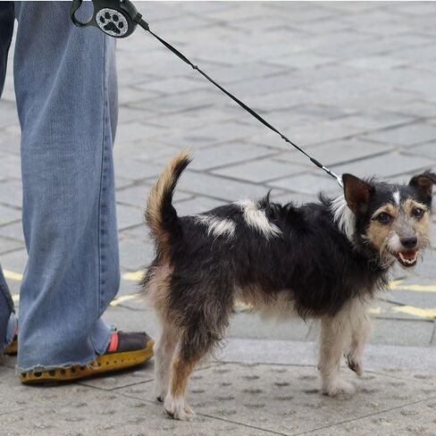 مقود الكلب القابل للسحب-مقود 16 قدمًا مع تفاصيل التألق المصنوعة يدويًا ، مقبض قبضة ناعمة خالية من الفرامل ، للكلاب الصغيرة والمتوسطة حتى 77 رطلاً (DL-BK) in Kuwait